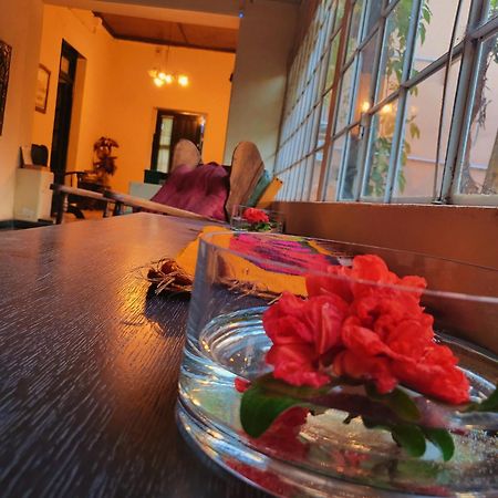 Casa Vidal Guesthouse トゥプンガート エクステリア 写真